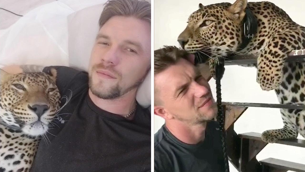 Man Lives With Giant Pet Leopard