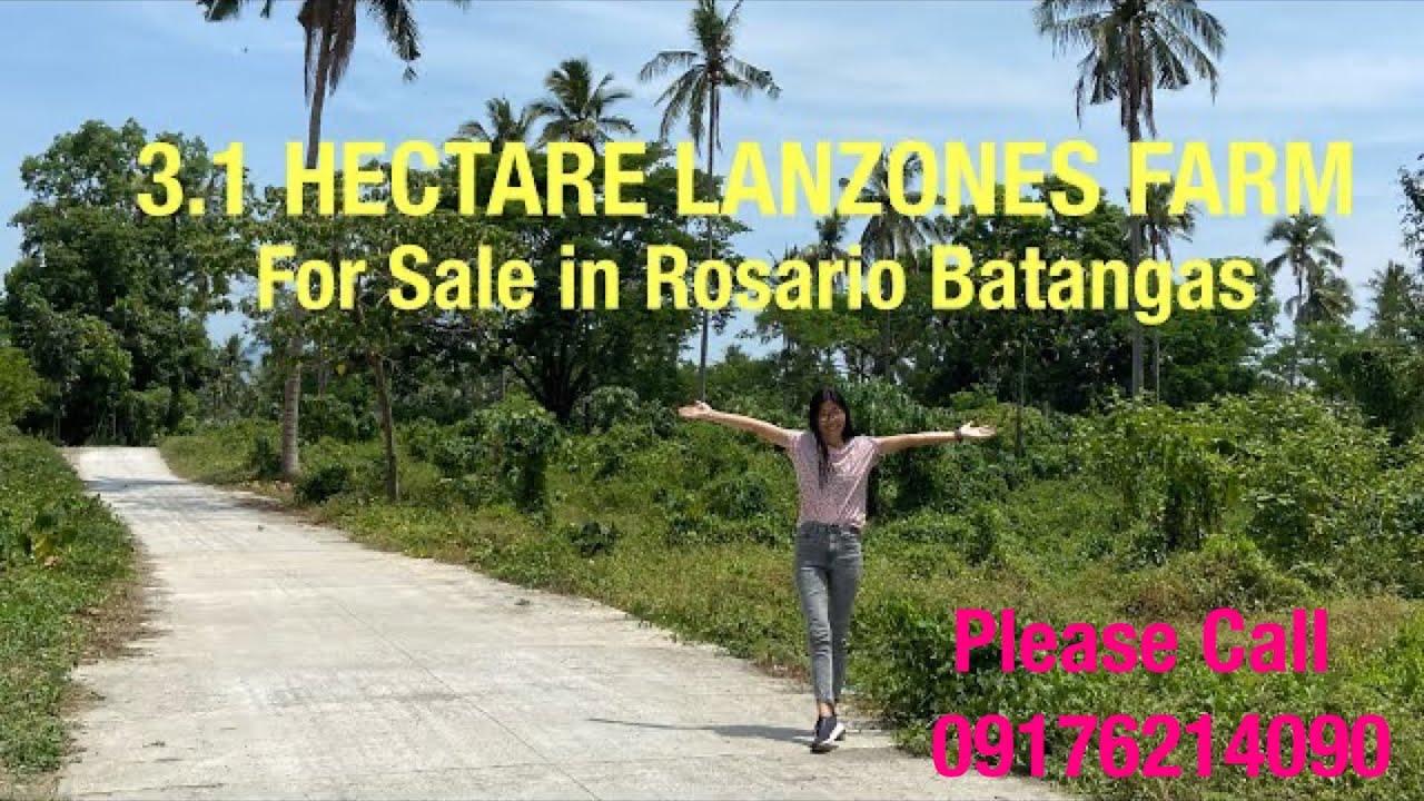 Vlog446: 3.1 HECTARE LANZONES  FARM ALONG BARANGAY ROAD FOR SALE IN ROSARIO BATANGAS PHILS SOLD