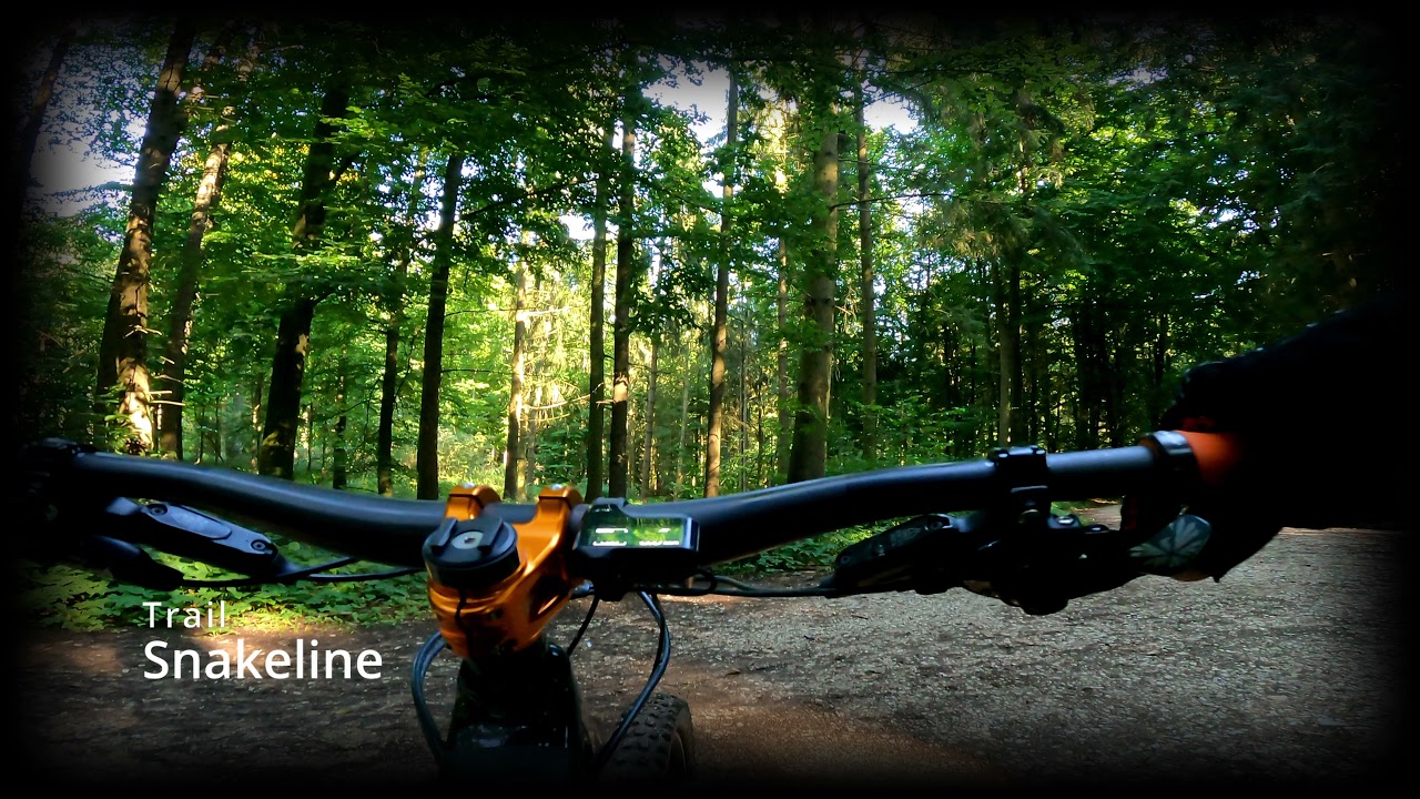 Regensburg MTB Hometrails 4K Snakeline