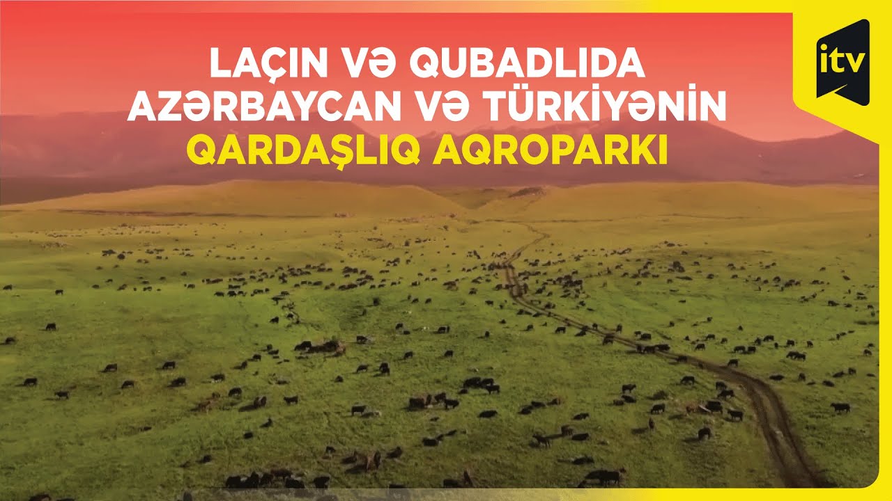 Laçın və Qubadlıda Azərbaycan və Türkiyənin Qardaşlıq Aqroparkı