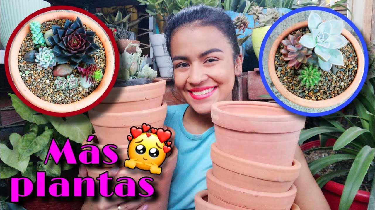 TRASPLANTO SUCULENTAS EN NUEVAS MACETAS DE BARRO + NUEVAS PLANTAS 👩🏽‍🌾🌱 | Jardines by Angie