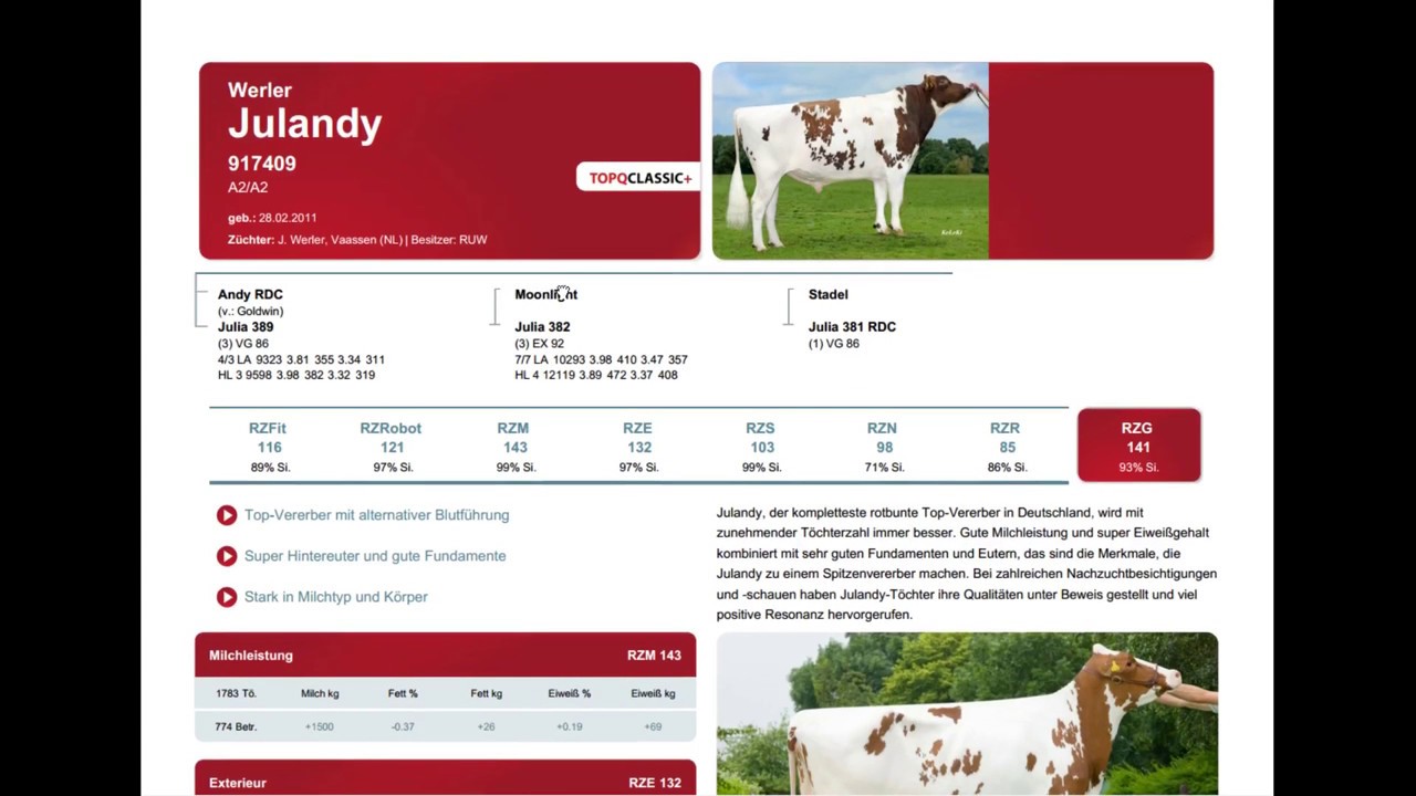 Bullenkatalog lesen