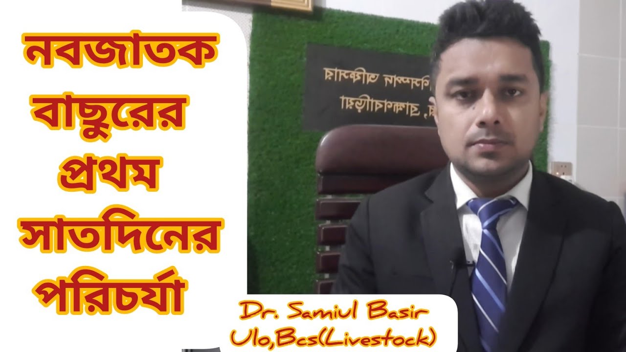 বাছুরের রোগ প্রতিরোধের উপায়।নবজাতক বাছুরের পরিচর্যা।বাছুরের যত্ন।বাছুরের নাভীর রোগ প্রতিরোধের উপায়।
