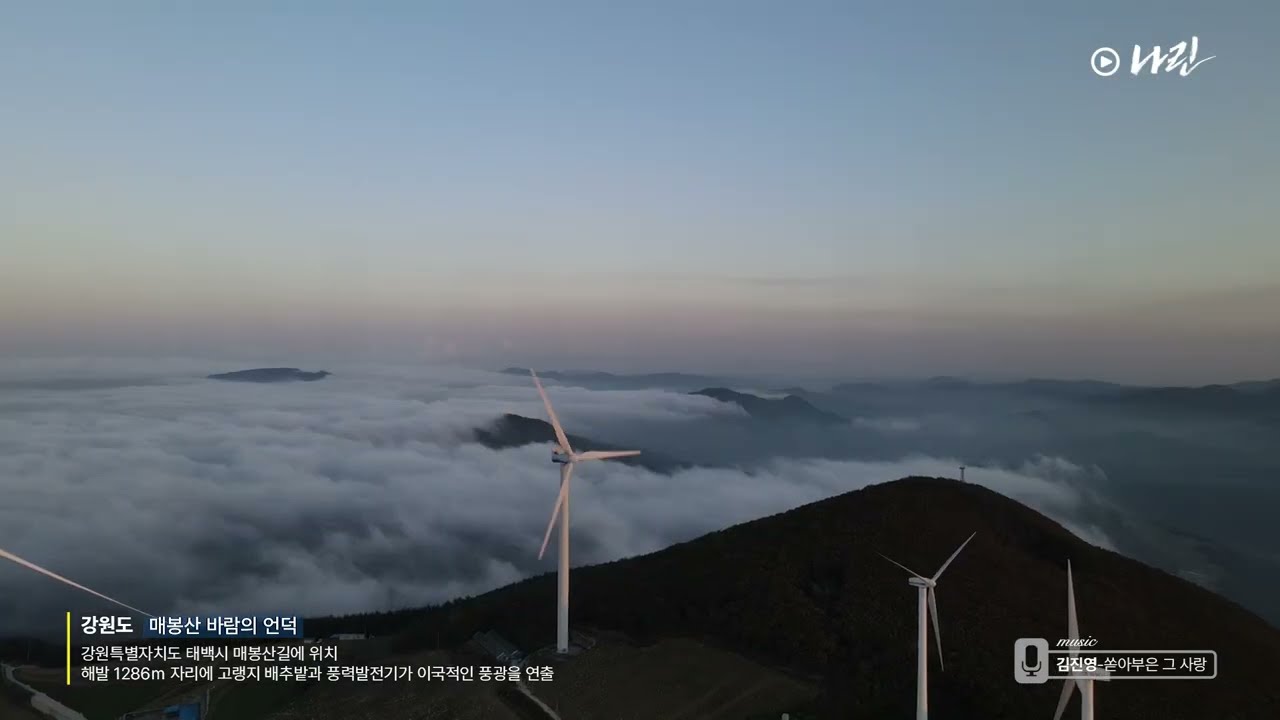 태백 매봉산 바람의 언덕