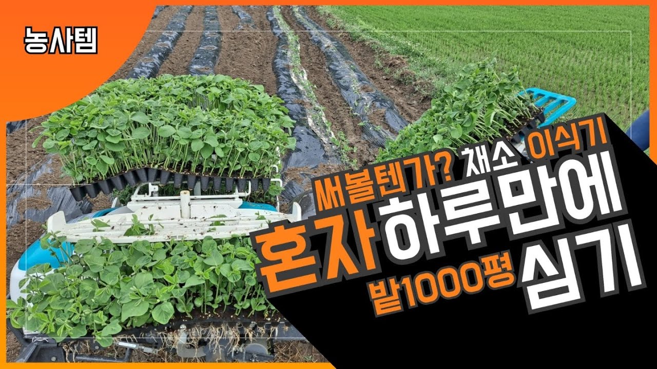 채소이식기, 다목적이식기. 농업기술센터에서 하루 43000원 주고 빌려서 들깨랑 콩을 심어봤습니다.