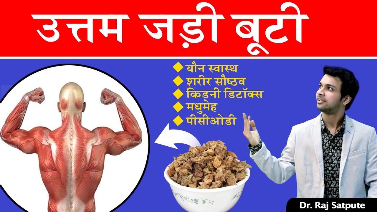 Tribulus Terrestris Complete Review in Hindi | Gokshur Unqiue Benefits | गोखरू के फायदे