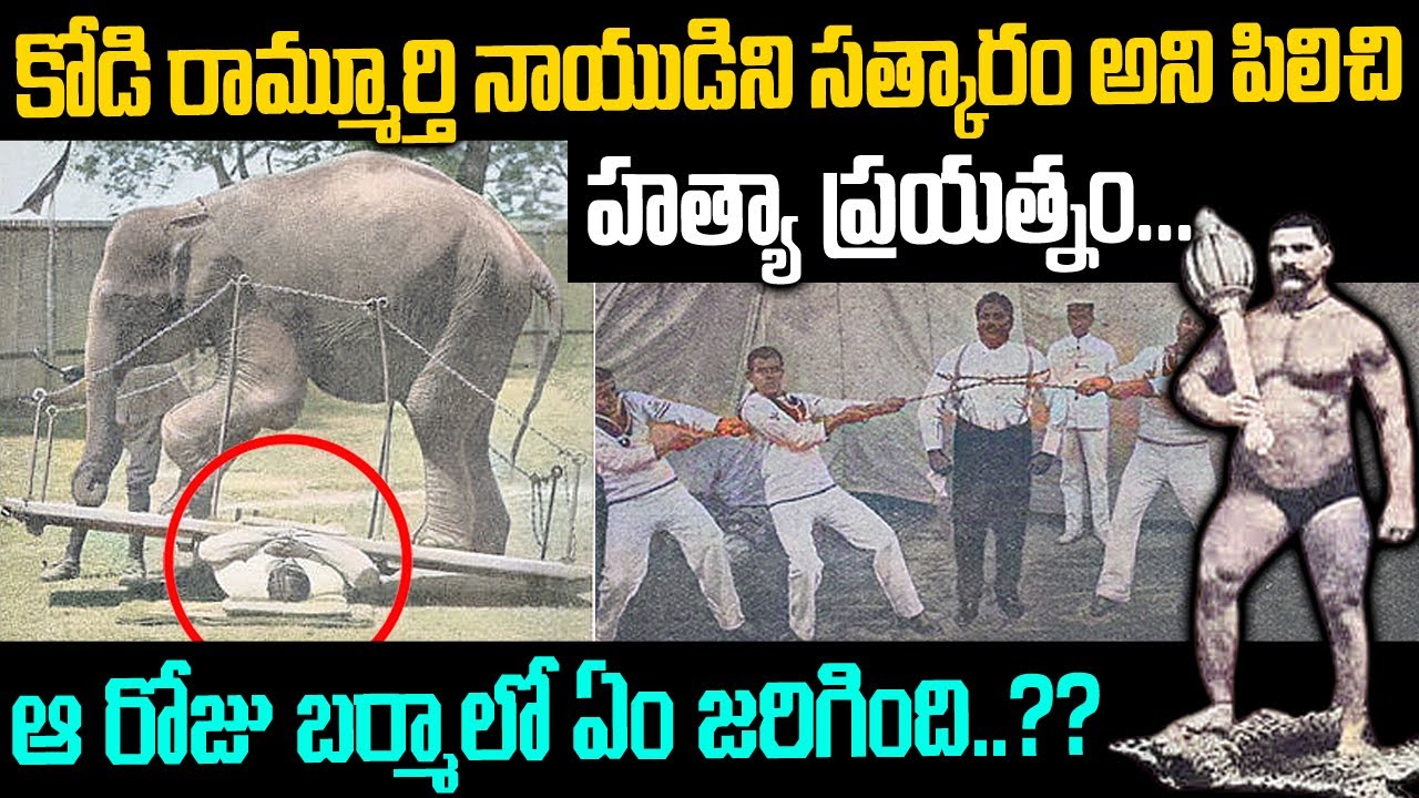 సన్మానం అని పిలిచి రామ్మూర్తి నాయుడిని చంపడానికి ప్లాన్ చేసింది ఎవరు?? | Kodi Rammurthy Naidu #mrn