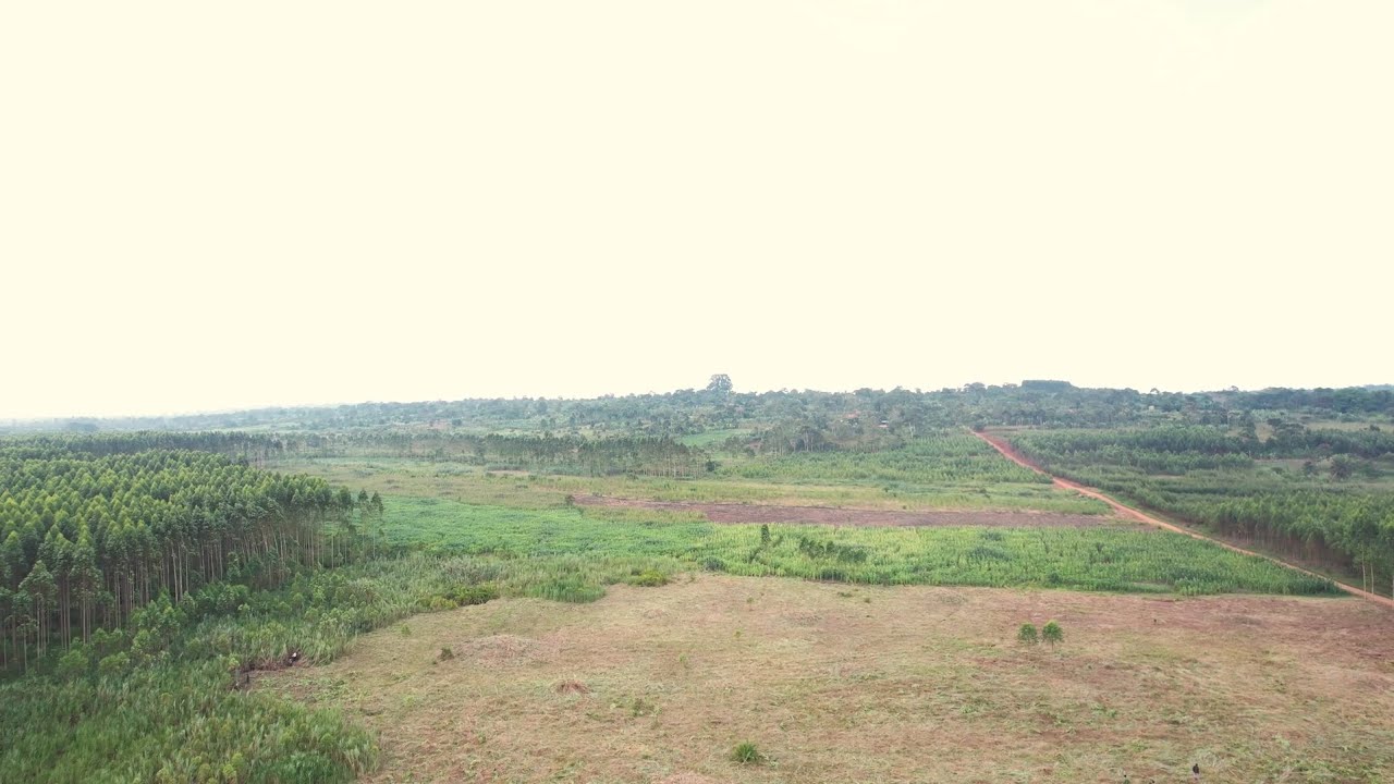Land a resource with many uses