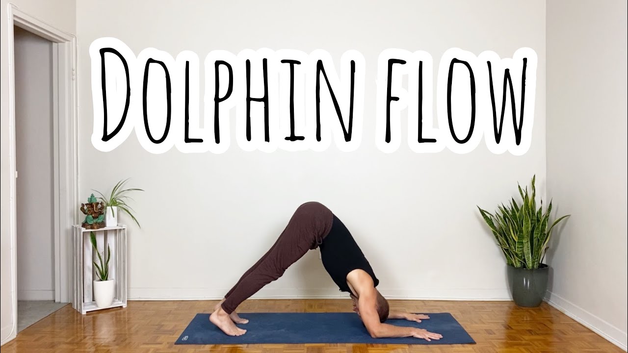 Dolphin Flow  |  Yoga with Greg