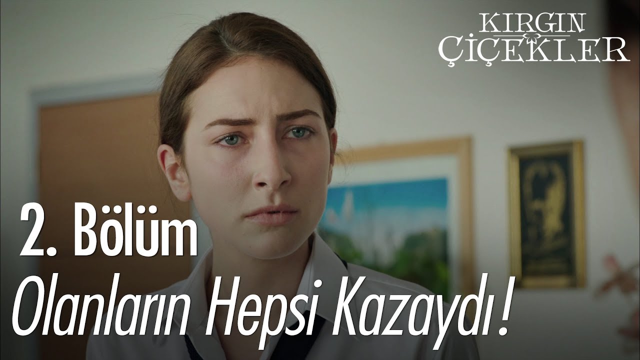 Olanların hepsi kazaydı! - Kırgın Çiçekler 2. Bölüm