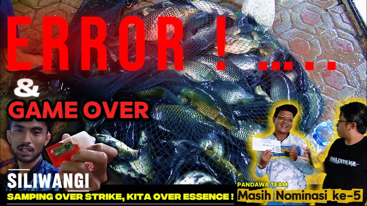 Ikan Sampai Tak Terhitung, Essence SILIWANGI, super wangi, super jahat aromanya, lebih percaya diri
