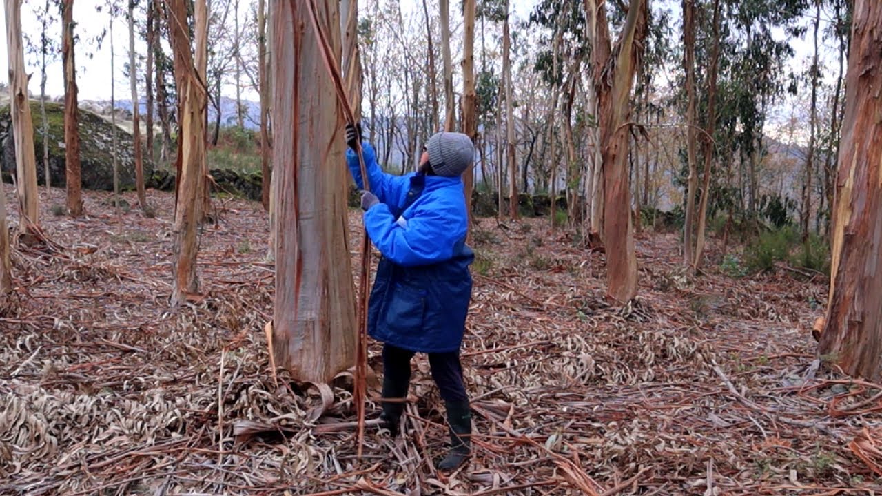 É HORA DE RECOLHER E ESPERAR-ENTENDER A NATUREZA NA SERRA