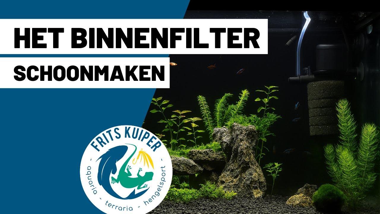 Binnenfilter van het aquarium grondig schoonmaken – stap voor stap met Frits Kuiper