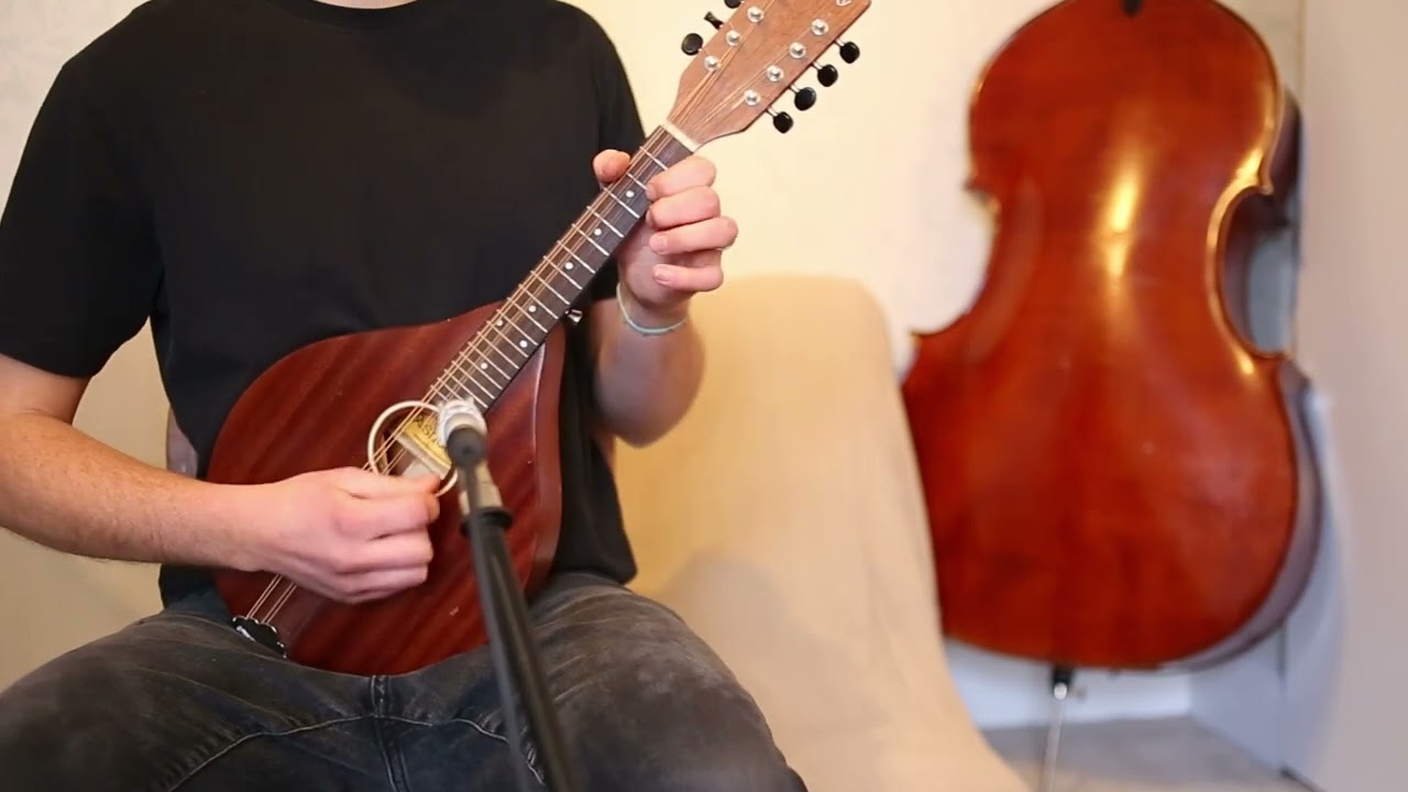 Irish Reel on Mandolin: Jenny's Chickens (Lessons, Sheet Music and Tabs Available!)