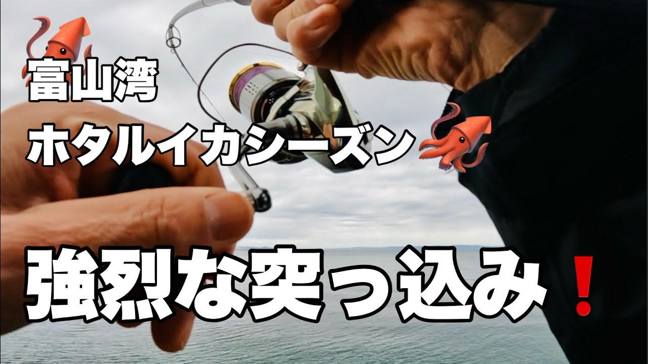 富山湾ホタルイカシーズンの本命ターゲット降臨！