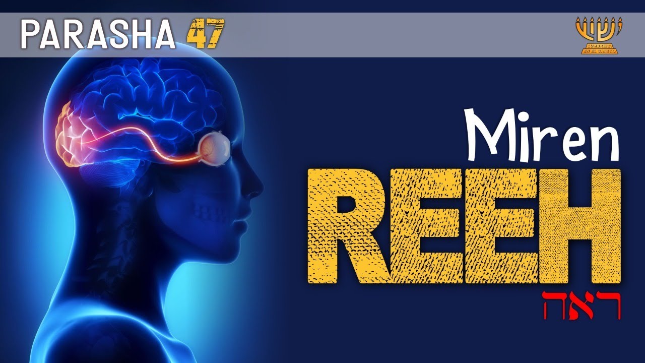 Cómo poder ver el futuro? │Parashat Reeh