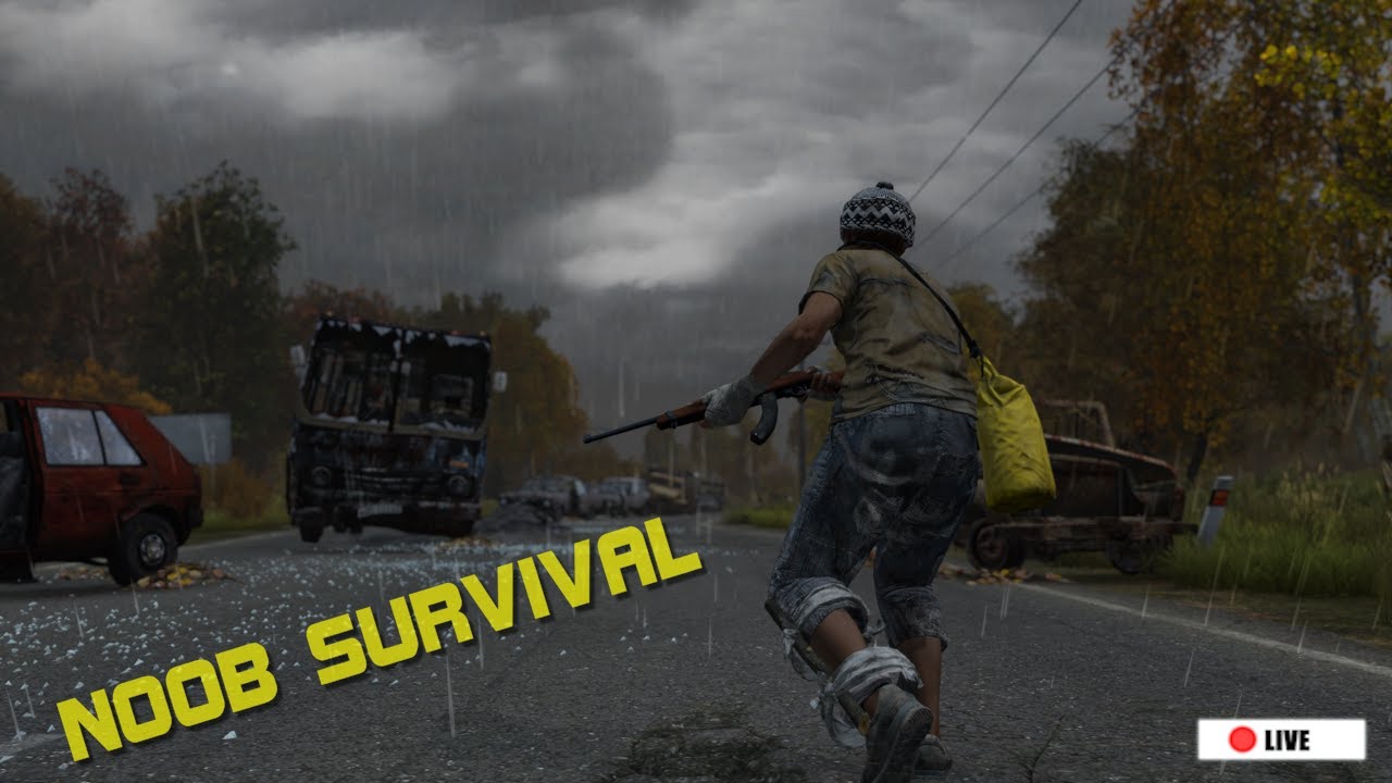 DayZ For The Uninitiated.