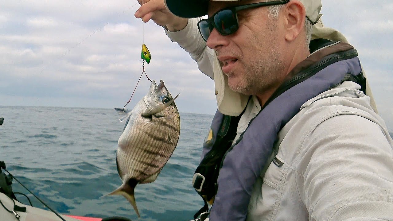Tenya fishing and squid jigging - White Sea bream , Trigger fish and Squid