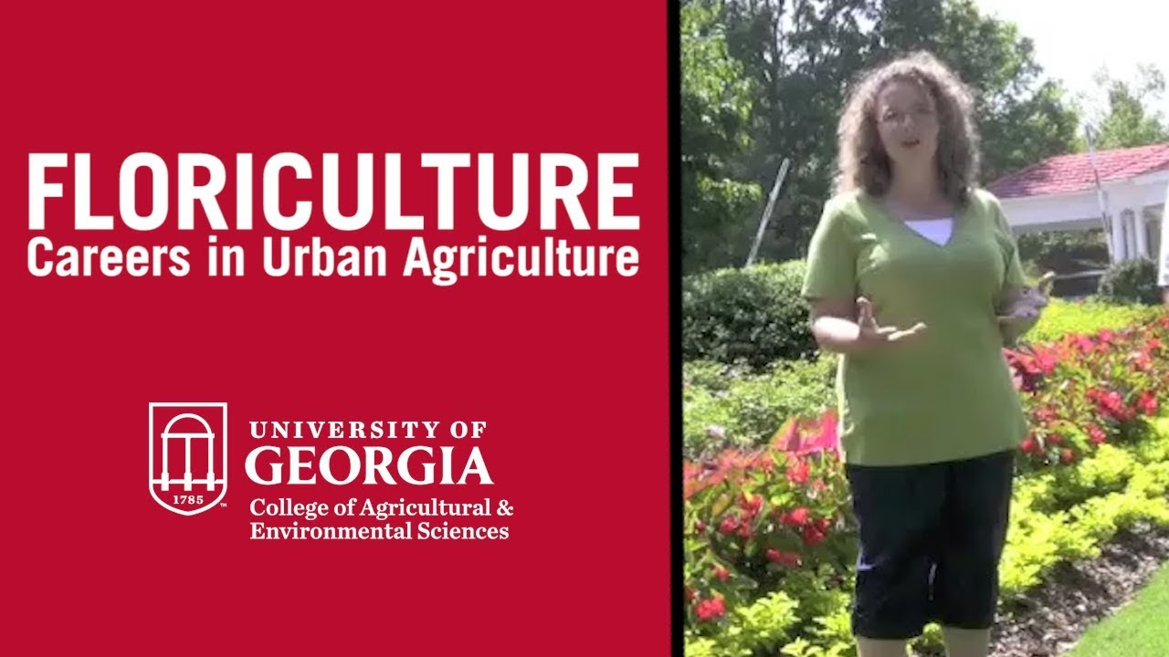 What is Floriculture?