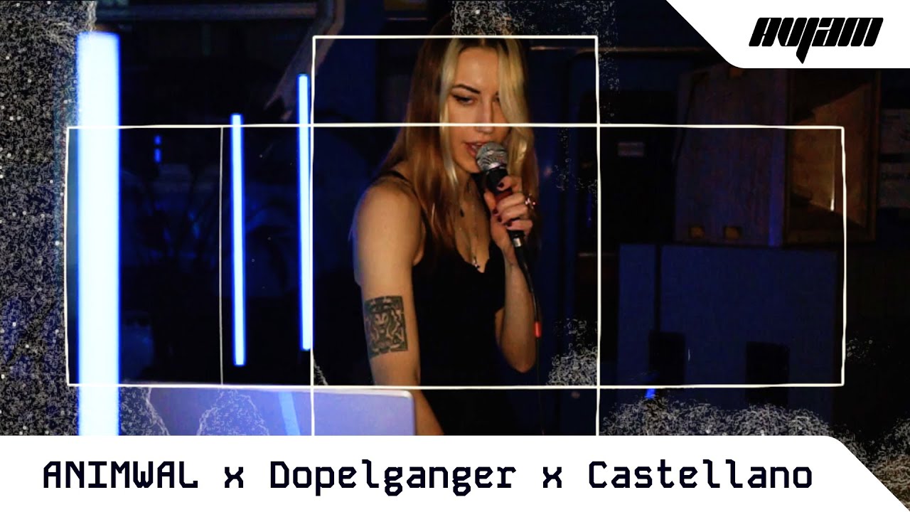 ANIMWAL & Dopelganger & Castellano at AVJam [Mar. 27th 2025]
