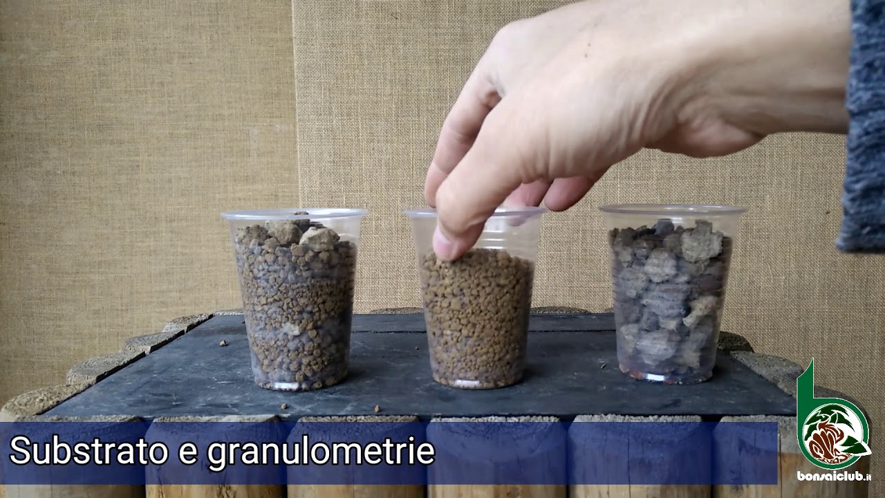 La granulometria nei substrati per Bonsai