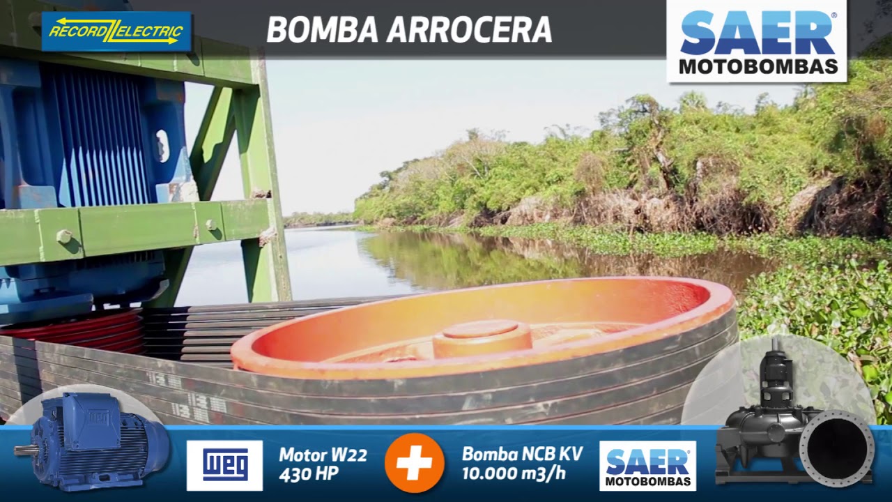 SAER BOMBA ARROCERA