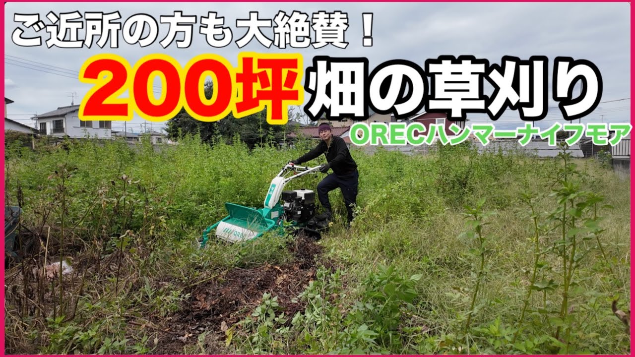 【仕事】200坪の畑草刈り　ご近所さんも絶賛！　OREC ハンマーナイフモア使用　バッタ、蛇、トカゲ、沢山の生き物　フェンスの蔦取り