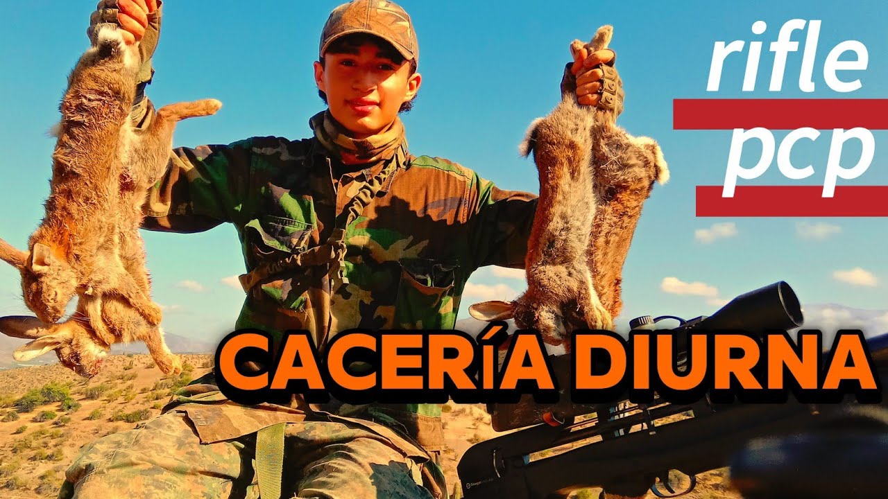 Cacería Diurna de Conejos | Rifle PCP XM1 | Campo Chileno🐰