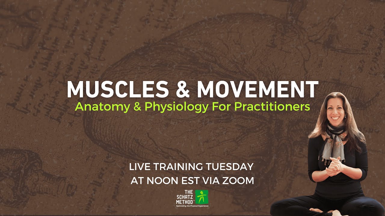 Тренинг «Мышцы и движение» — занятия для практикующих по вторникам.