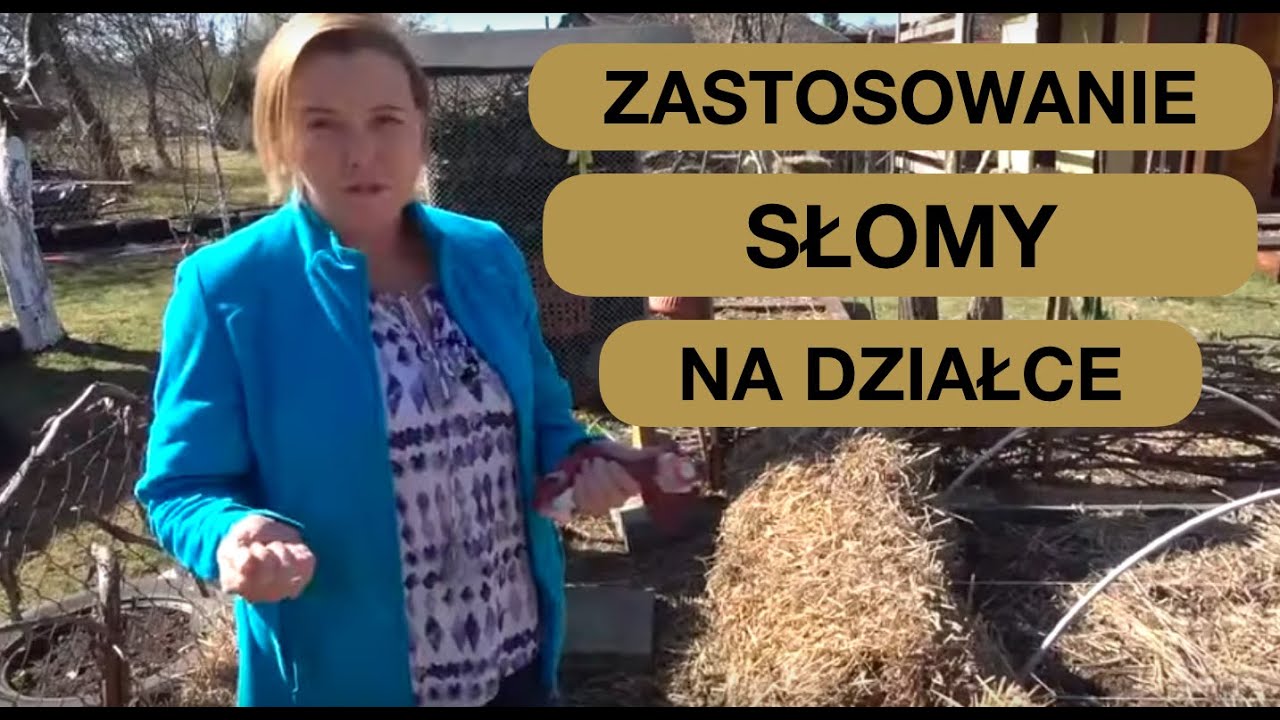 ZASTOSOWANIE SŁOMY NA DZIAŁCE