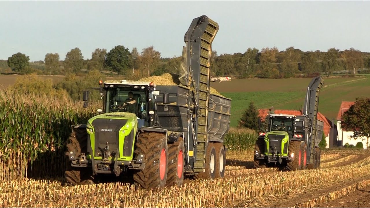 Maïs 2024 | 2x Claas Xerion 5000 met Stapel overlaadwagens | Claas Jaguar 970 | MAN | Maize harvest
