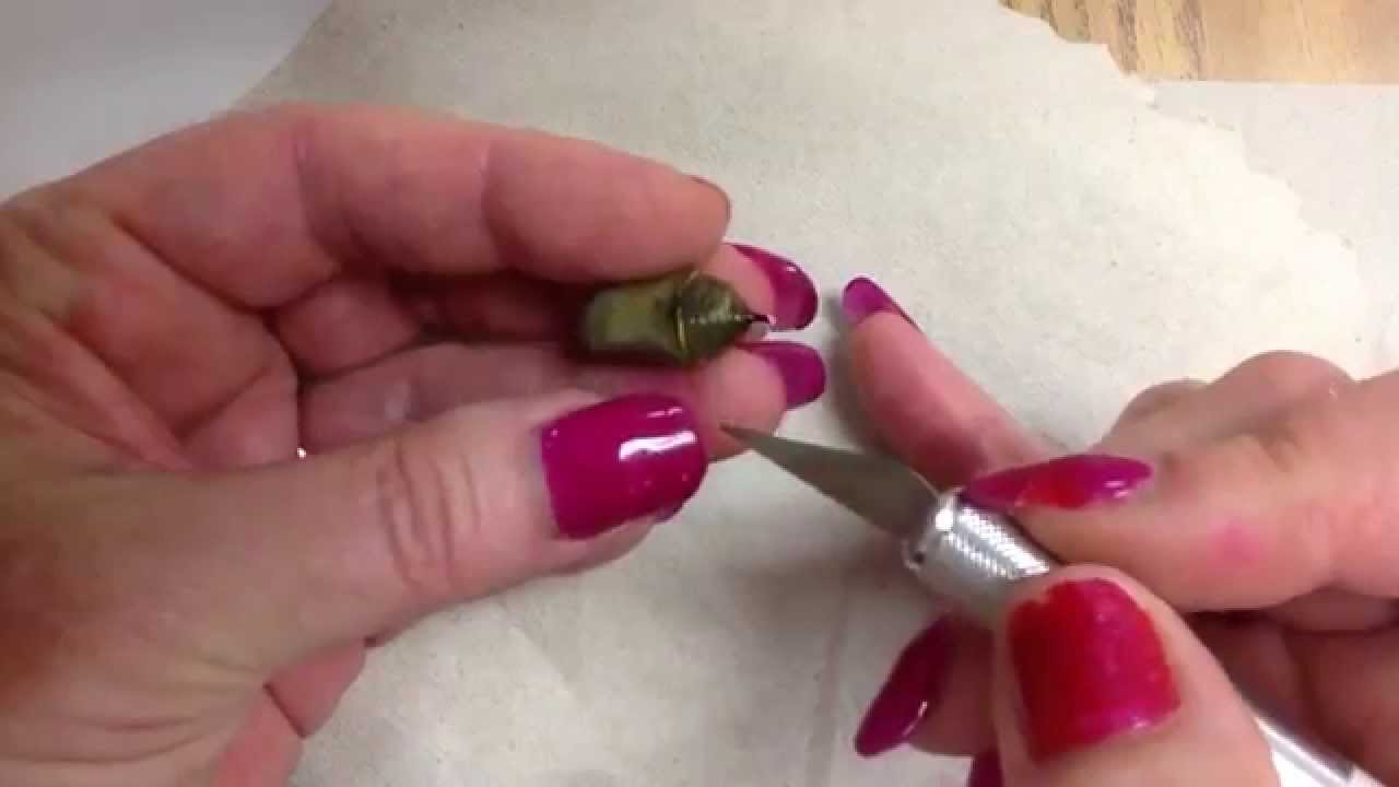 Dissecting a dead chrysalis (patron spots available)