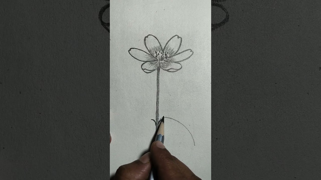 Easy drawing beautyful flower#