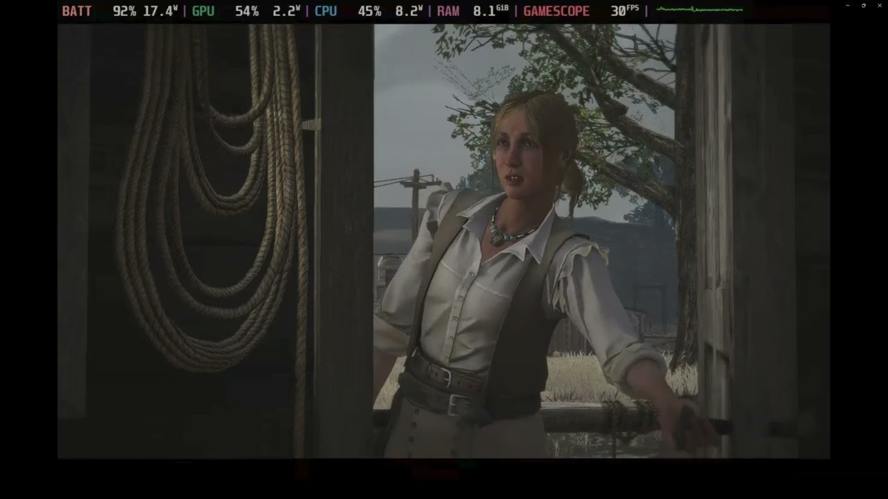 RED DEAD REDEMPTION YUZU STEAM DECK