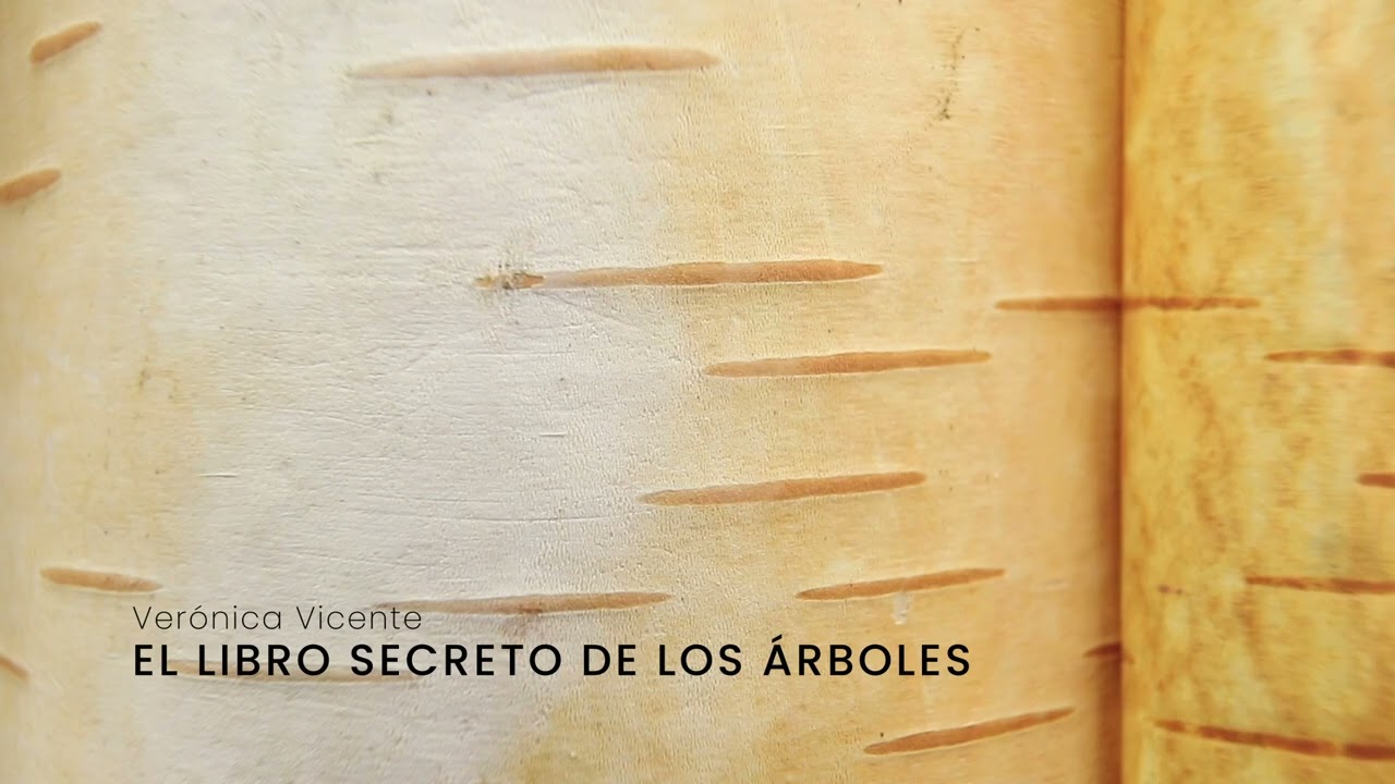 MATERIA BOSQUE 2025