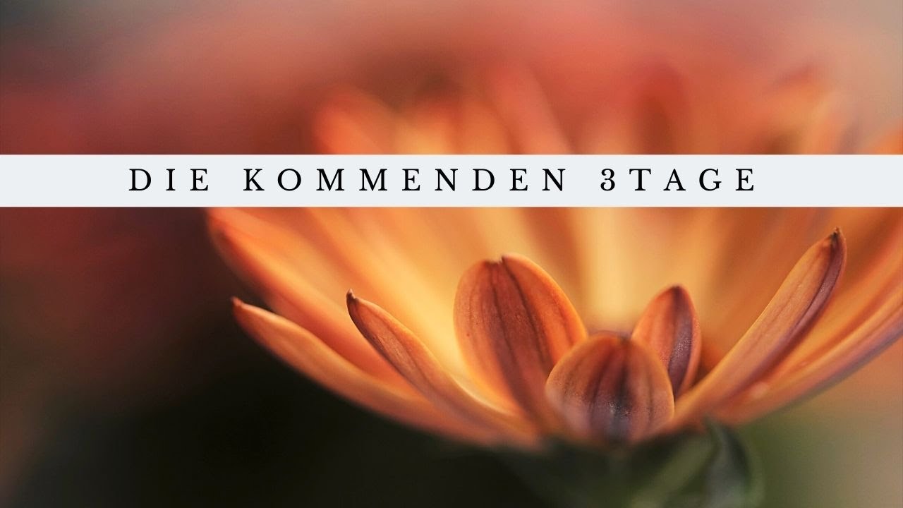 Die kommenden 3 Tage | Sich mit Jemanden verbinden | Gute Nachrichten und Gespräche