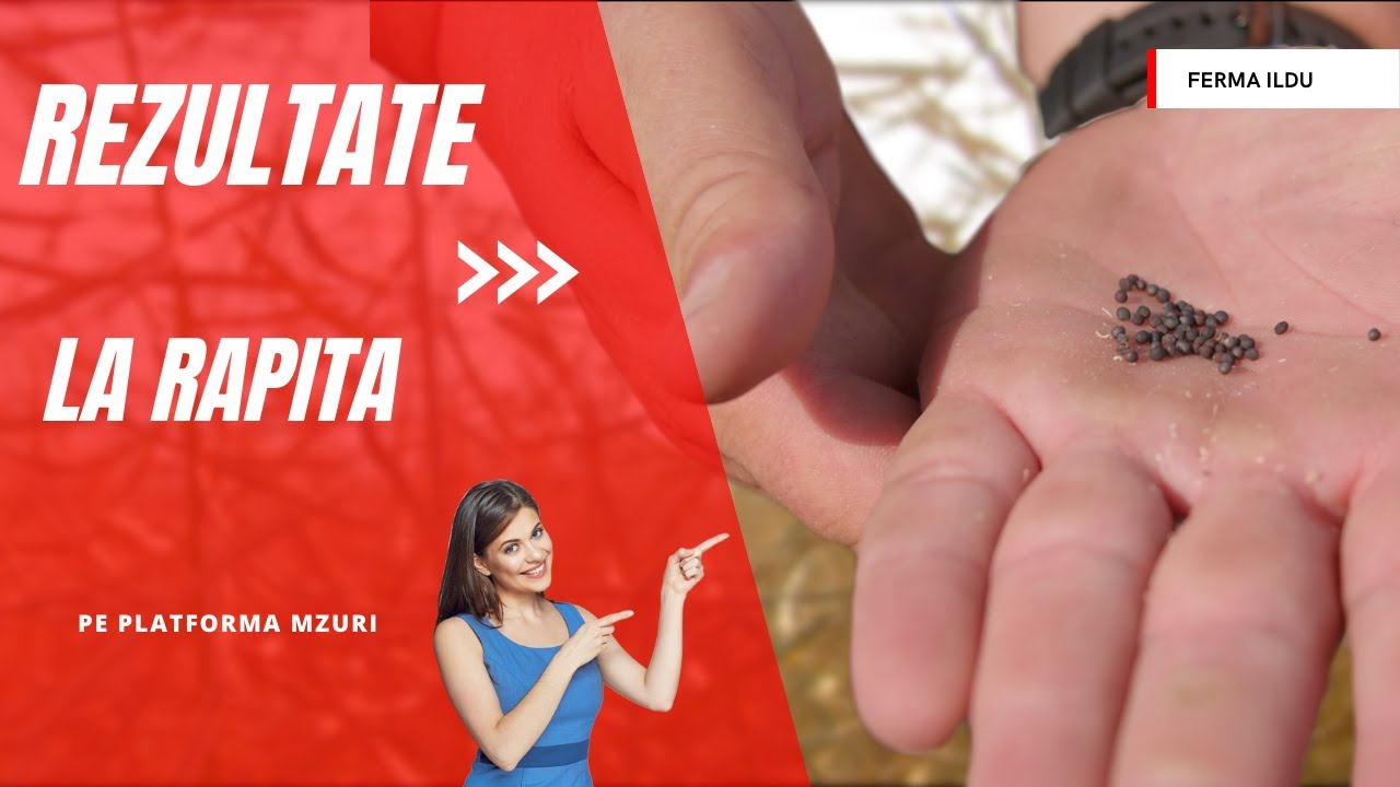 Rezultate la rapita pe platforma Mzuri