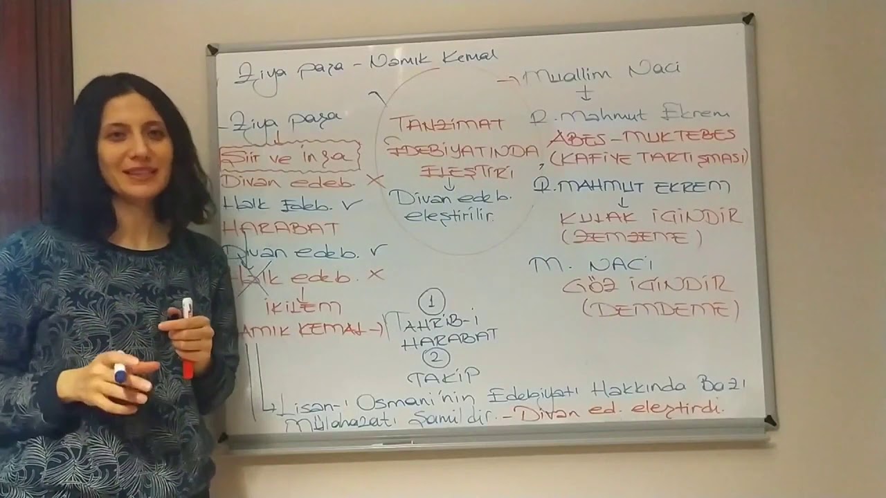 TANZIMAT EDEBIYATINDA ELESTIRI (VİDEO 3)