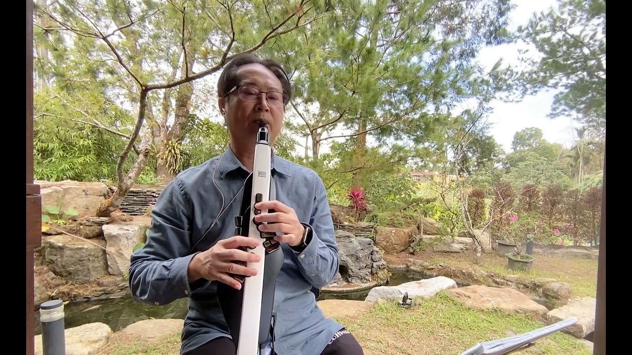 酒後的心聲—江惠—電吹管～豪哥