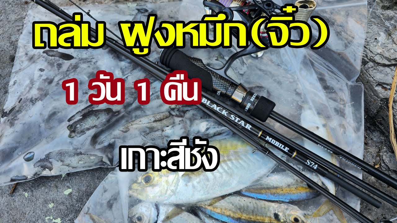 ทุลักทุเล ทริป ตกหมึกตกปลา เกาะสีชัง 1 วัน 1  คืน