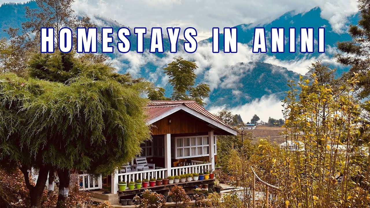 List of homestays in ANINI, Arunachal pradesh II 500 rs per person II 10 most happening homestays