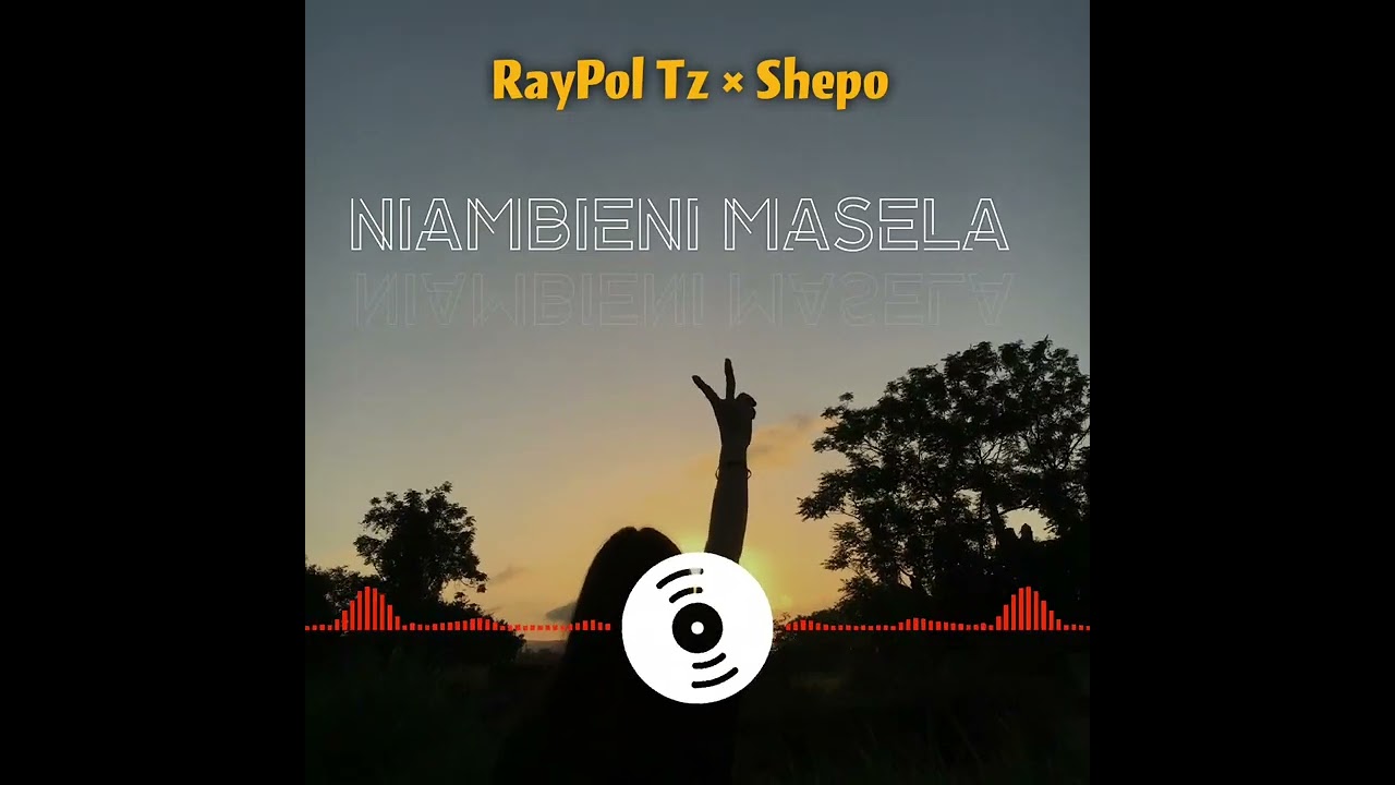 Raypol tz ft Shepo Niambien masela (Official Music Audio)
