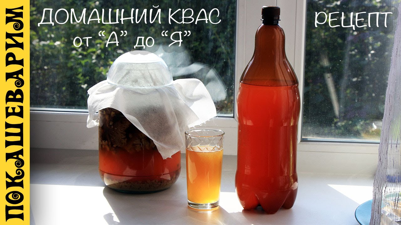 Домашний квас на закваске без дрожжей. Все подробно. Рецепт