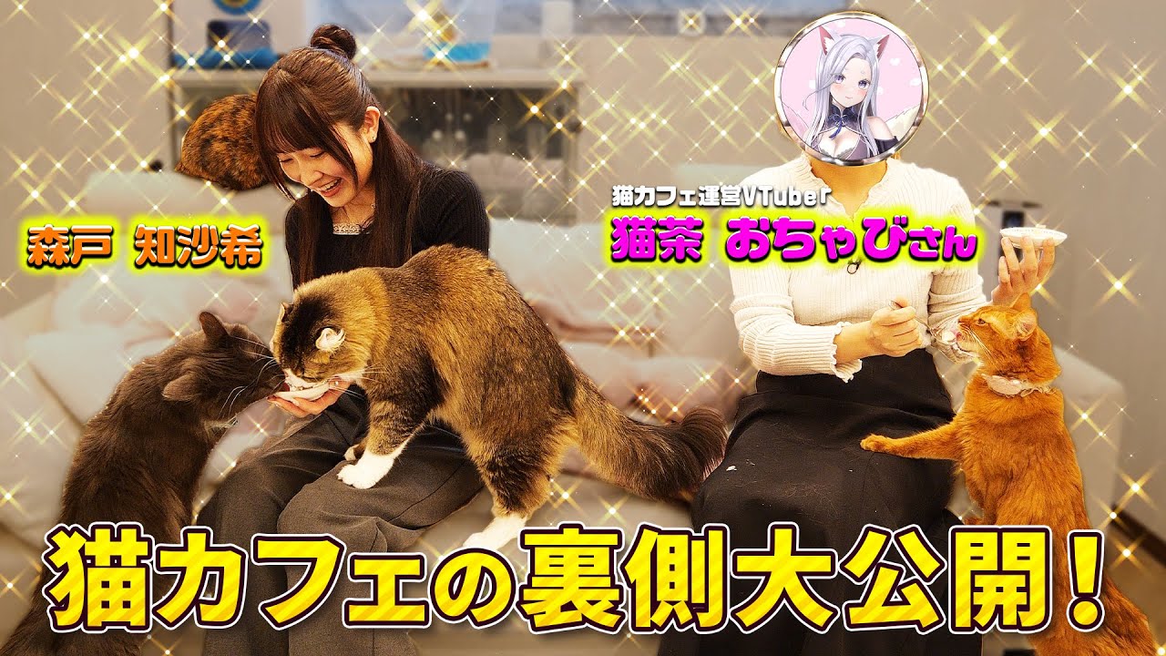 猫カフェの裏側を公開！森戸知沙希が訪問！