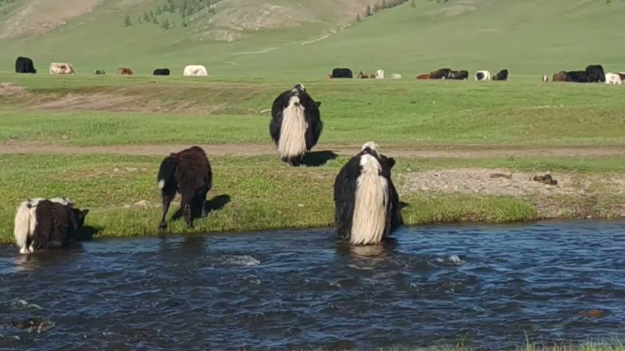 On the way to Tsenkher Hot Spring, Mongolia