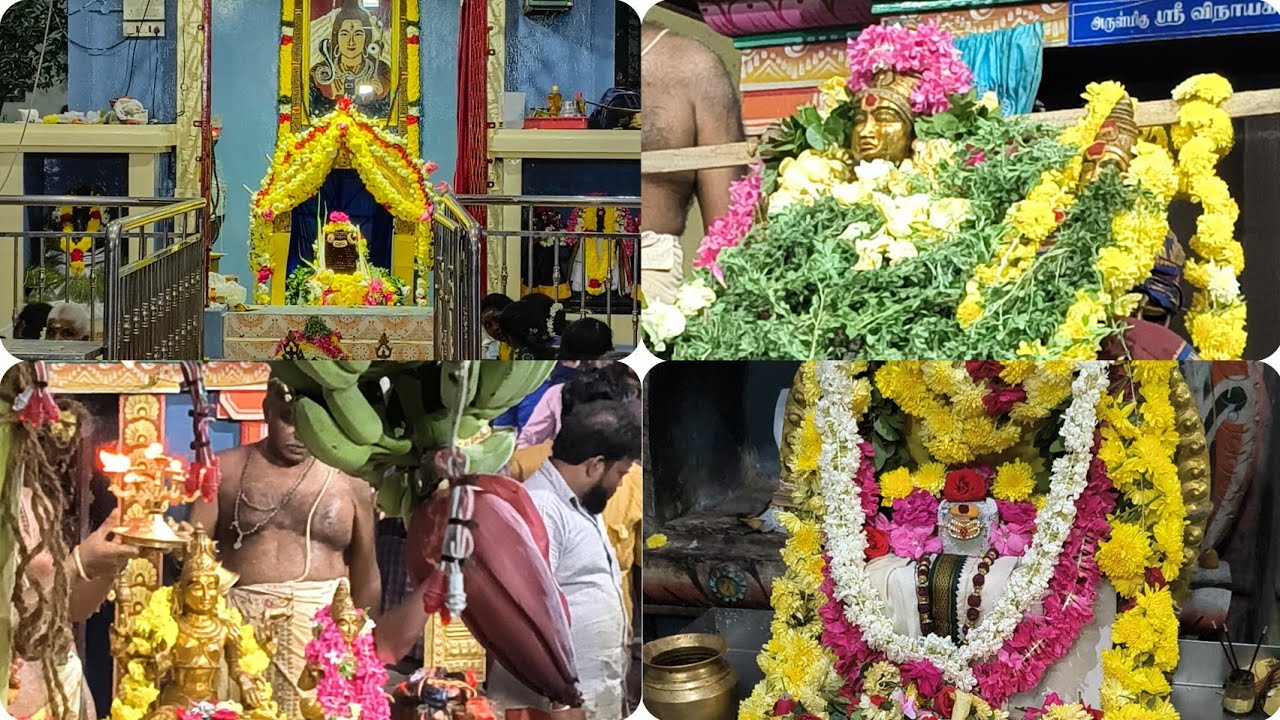 மஹாசிவராத்திரிக்கு கோவிலுக்கு போகாதவங்க கண்டிப்பா பாருங்க ஓம் நமசிவாய 🙏 Mahasivarathiri 