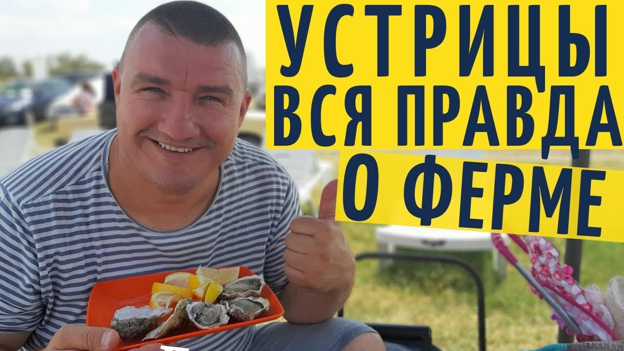 Правда о ферме Устрицы Скифии /Тилигульский лиман на YouTube канале Взрослый разговор