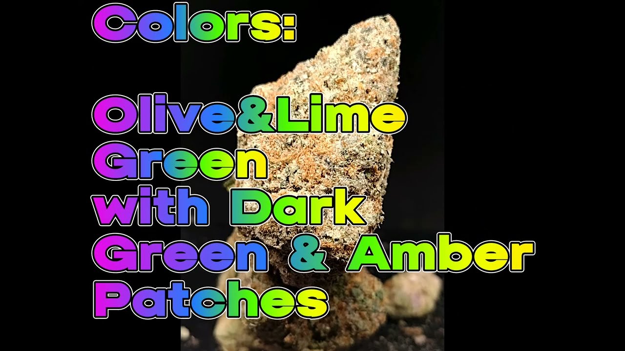 White Gold AKA Oro Blanco (60/40 IH) Strain Review-Budpedia