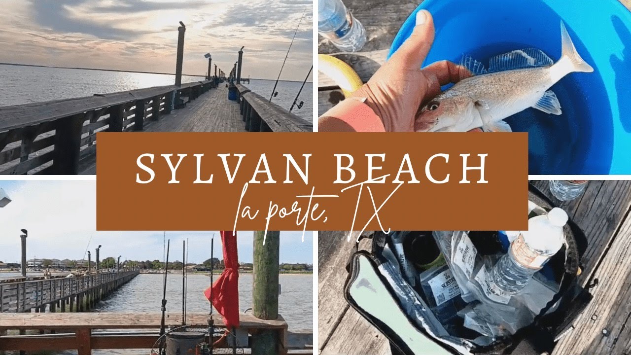 Spending the Day at Sylvan Beach Fishing Pier in La Porte, TX 🎣 🐟 🌊