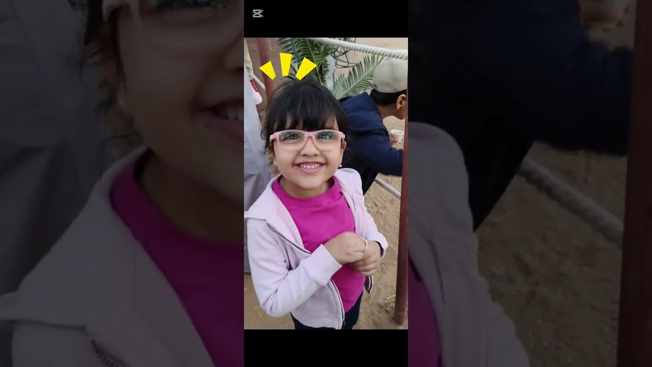 رحلة عالم سفاري 🐒🐅🦚